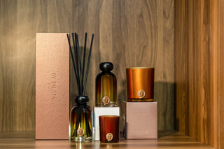 Ambiance by Talata - Home Fragrance Gifts