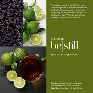 BE STILL | Black Tea & Bergamot Hand & Body Lotion - 300ml / 10fl oz